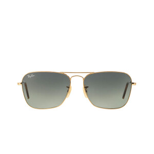 Ray-Ban 3136I Sunglass